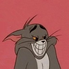c.bunny avatar