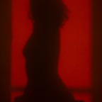 ximenademiel avatar